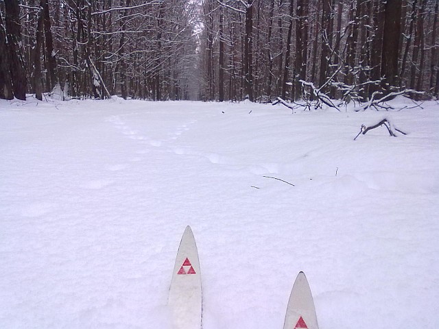 Koniec zimy 2010/2011