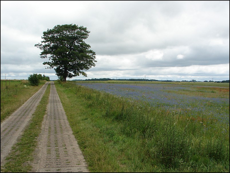 Dziesi�� starych ko�cio��w i jeden megalit