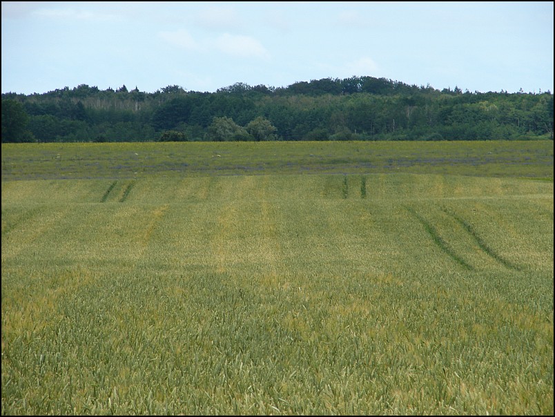 Dziesi�� starych ko�cio��w i jeden megalit