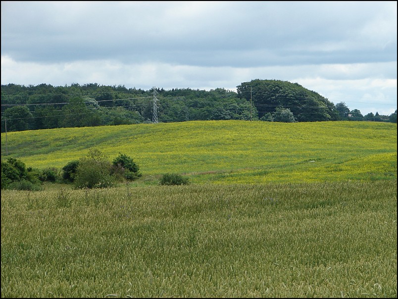 Dziesi�� starych ko�cio��w i jeden megalit