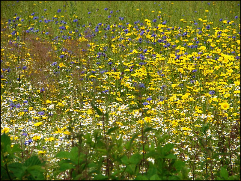 Dziesi�� starych ko�cio��w i jeden megalit