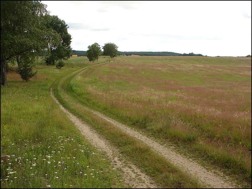 Dziesi�� starych ko�cio��w i jeden megalit