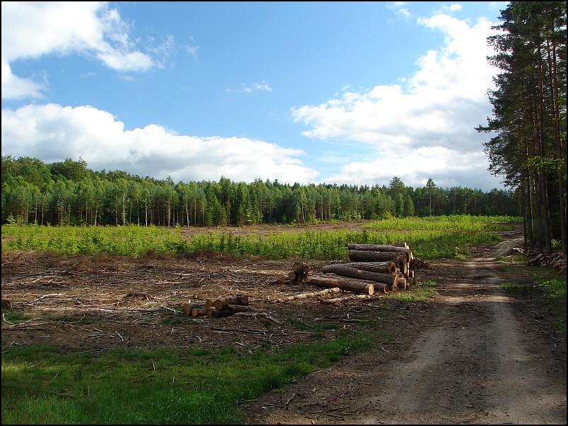 Dziesi�� starych ko�cio��w i jeden megalit