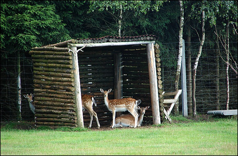 Dziesi�� starych ko�cio��w i jeden megalit