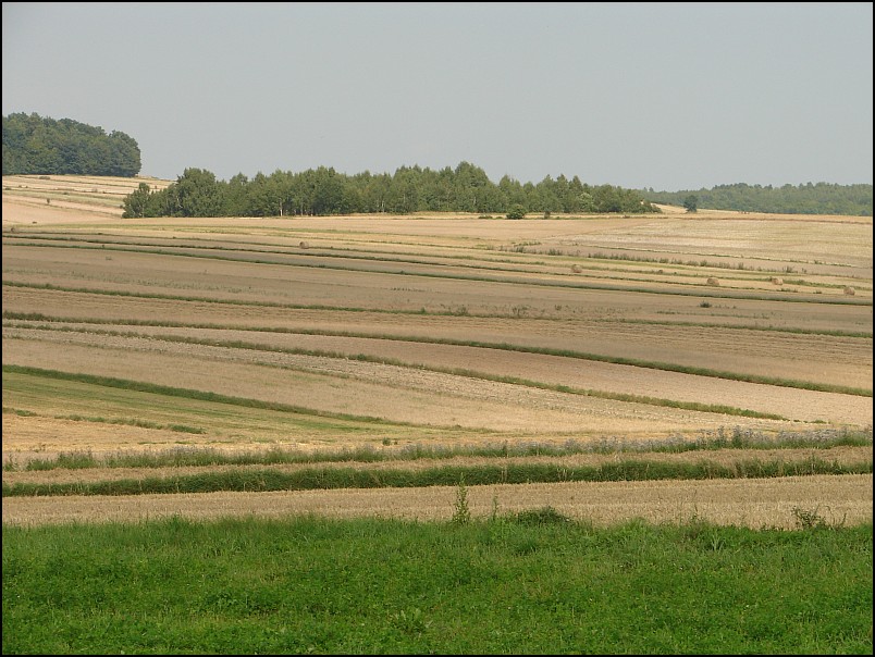 Z Lublina przez Roztocze