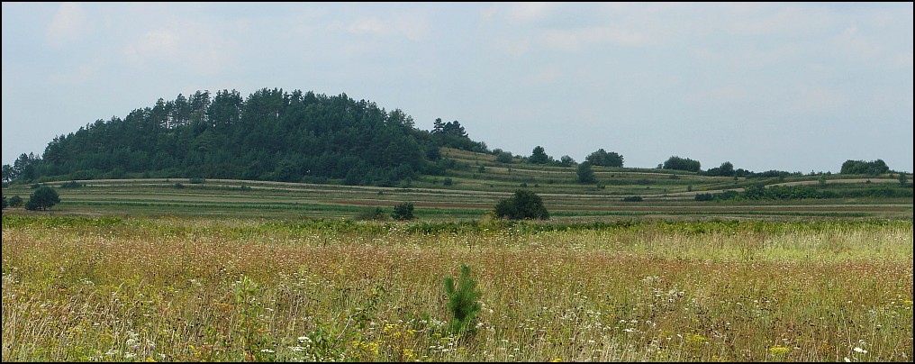 Z Lublina przez Roztocze