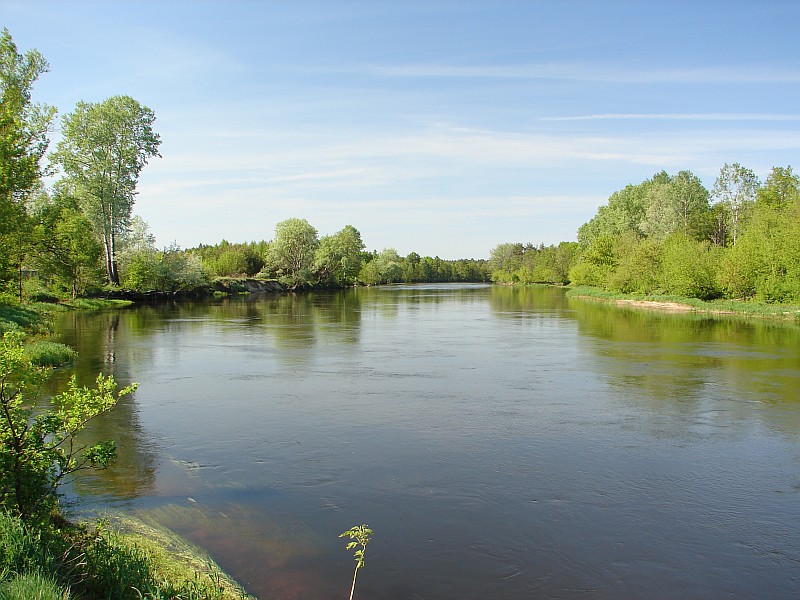 Z Ostro��ki przez Puszcz� Bia�� (112 km)