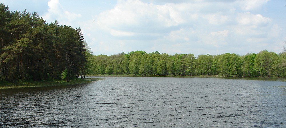 Z Ostro��ki przez Puszcz� Bia�� (112 km)