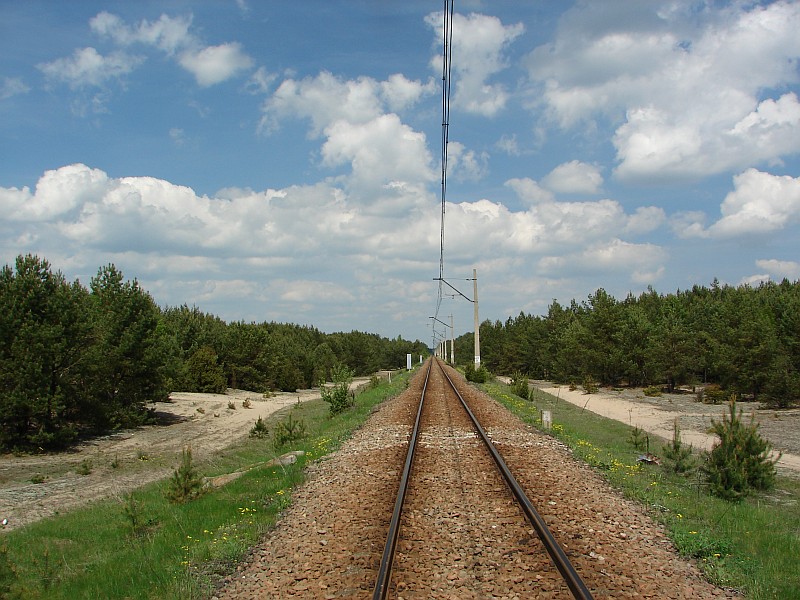 Z Ostro��ki przez Puszcz� Bia�� (112 km)