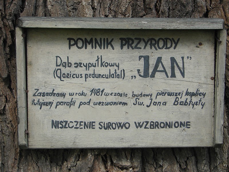 Z Ostro��ki przez Puszcz� Bia�� (112 km)