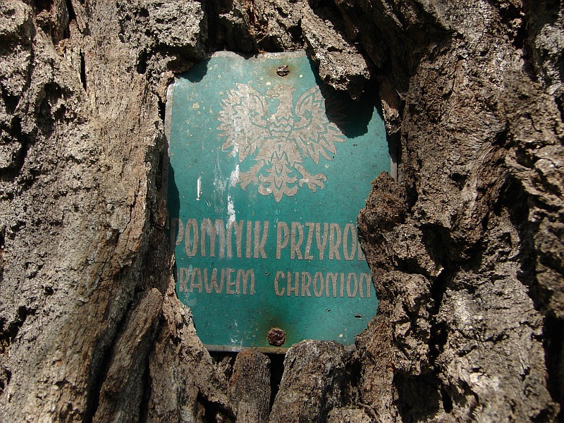 Z Ostro��ki przez Puszcz� Bia�� (112 km)