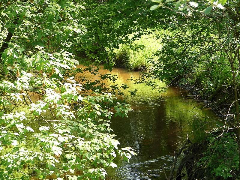 dsc01634
