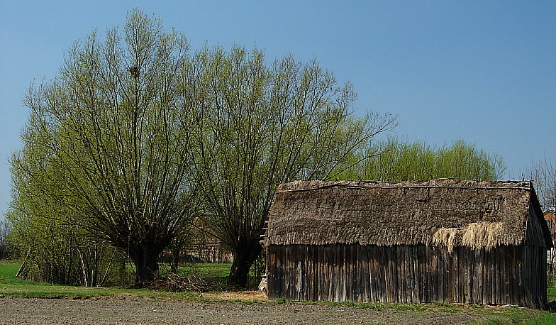 Szewnica - Jezioro Zegrzy�skie