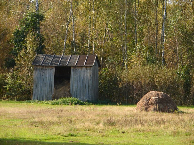 W Puszczy Kamienieckiej - Top�r, Czaplowizna, Wyw�oka