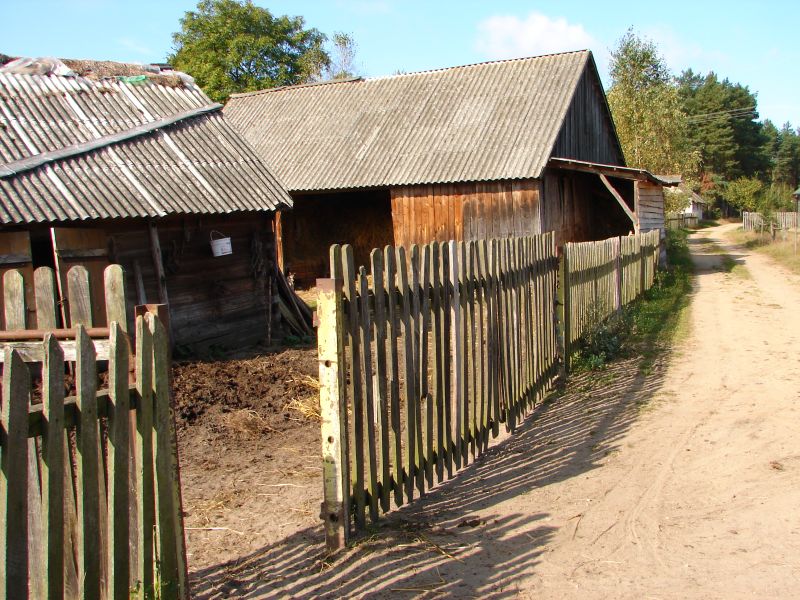 W Puszczy Kamienieckiej - Top�r, Czaplowizna, Wyw�oka