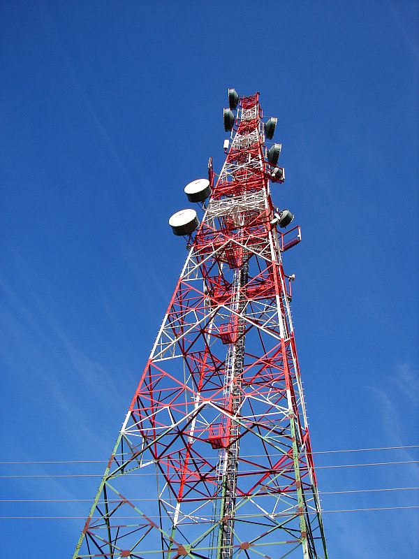 W Puszczy Kamienieckiej - Top�r, Czaplowizna, Wyw�oka