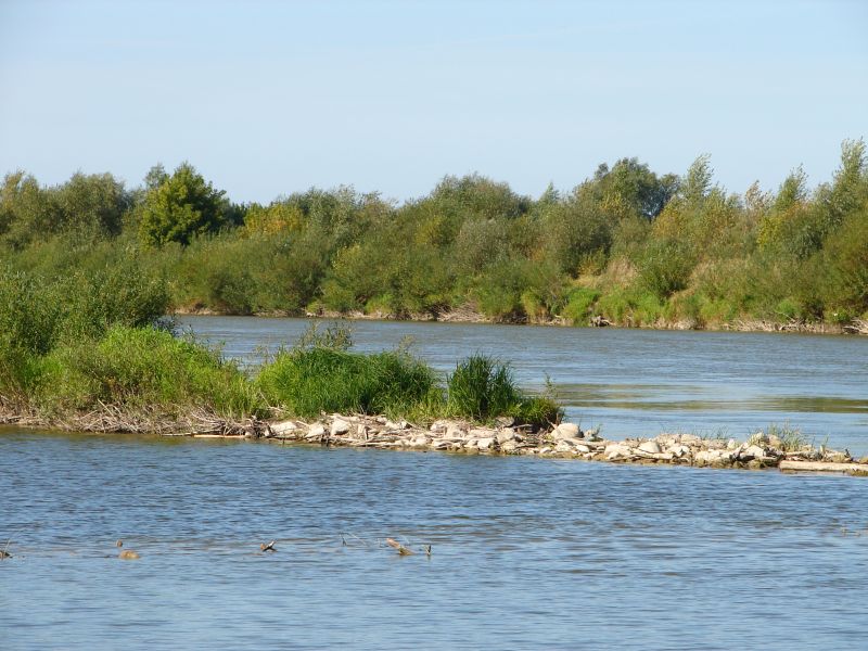 W Puszczy Kamienieckiej - Top�r, Czaplowizna, Wyw�oka