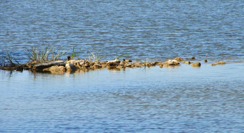 W Puszczy Kamienieckiej - Top�r, Czaplowizna, Wyw�oka