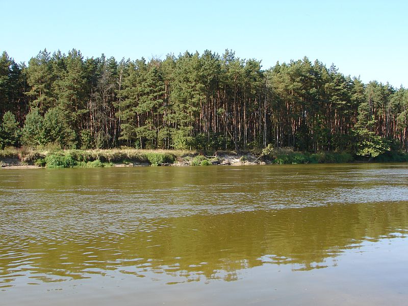 W Puszczy Kamienieckiej - Top�r, Czaplowizna, Wyw�oka