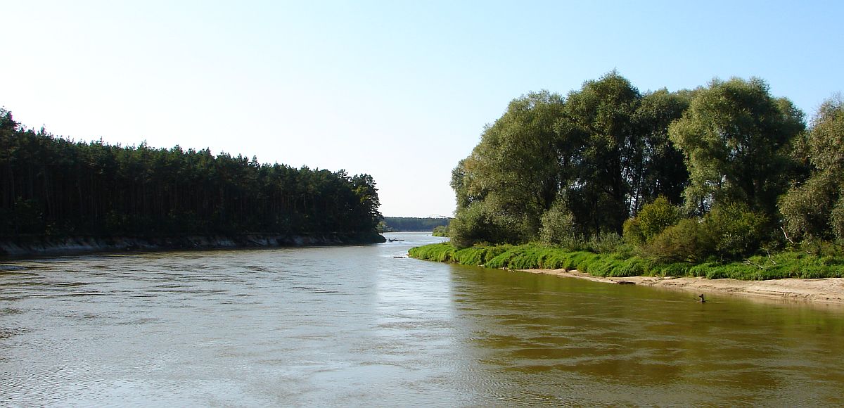 W Puszczy Kamienieckiej - Top�r, Czaplowizna, Wyw�oka