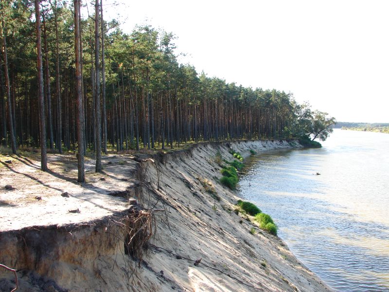 W Puszczy Kamienieckiej - Top�r, Czaplowizna, Wyw�oka