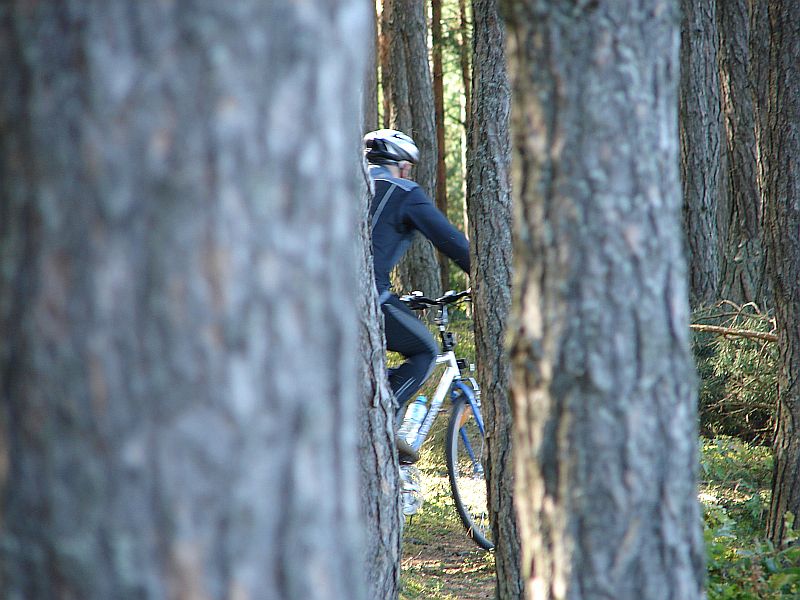 W Puszczy Kamienieckiej - Top�r, Czaplowizna, Wyw�oka