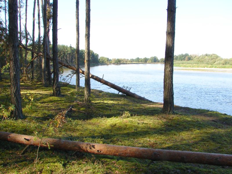W Puszczy Kamienieckiej - Top�r, Czaplowizna, Wyw�oka