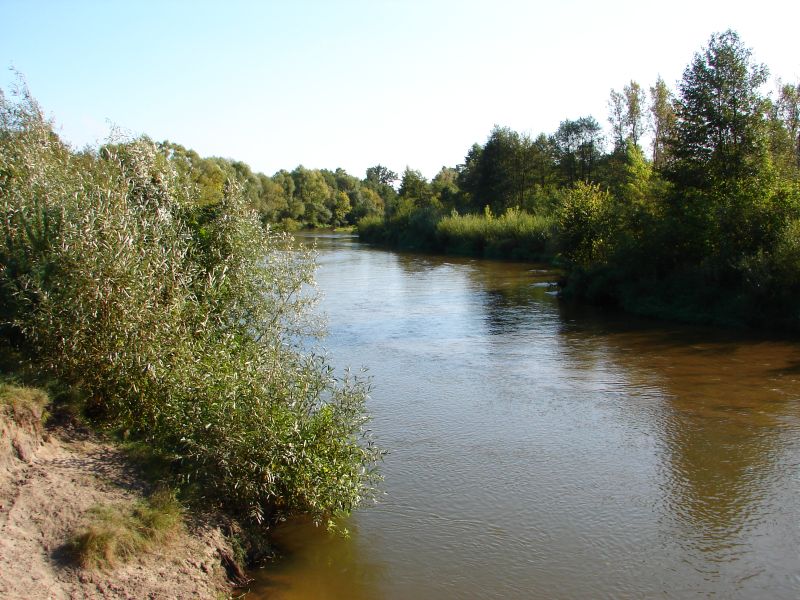 W Puszczy Kamienieckiej - Top�r, Czaplowizna, Wyw�oka