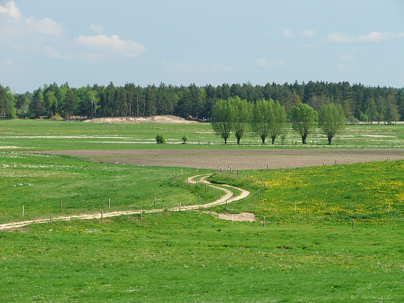 Z Rz��nika na Pulwy