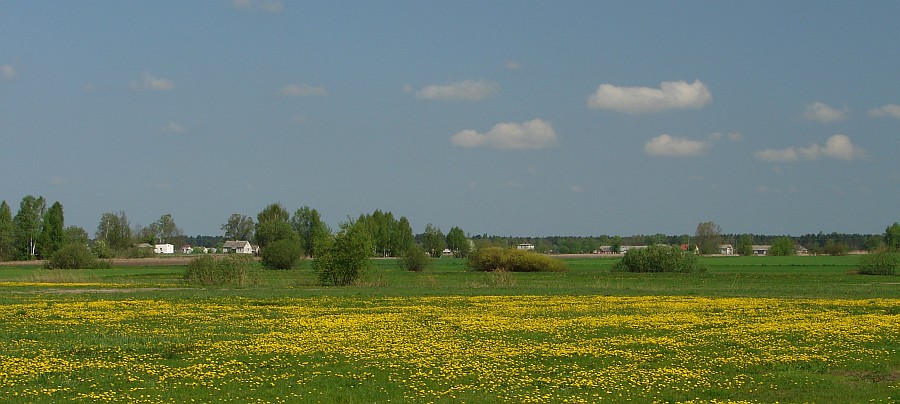Z Rz��nika na Pulwy