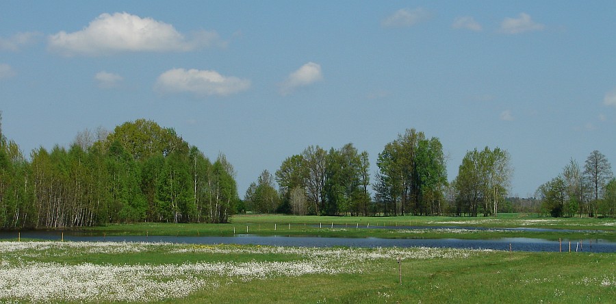 Z Rz��nika na Pulwy