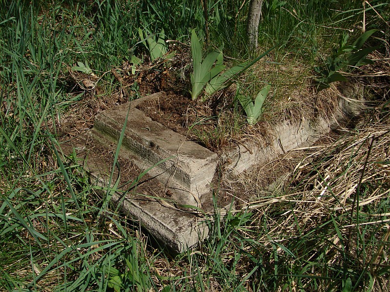 Z Rz��nika na Pulwy