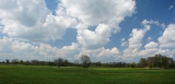 Pulwy - olbrzymie łąki (60 km2) po zmeliorowanym bagnie