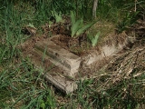 ...to można nawet znaleźć pozostałości po cmentarzu osadników niemieckich.