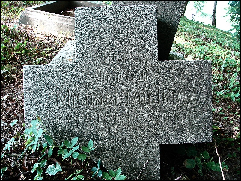 Dooko�a jeziora Jamno oraz wizyta w arboretum (42 i 35 km)