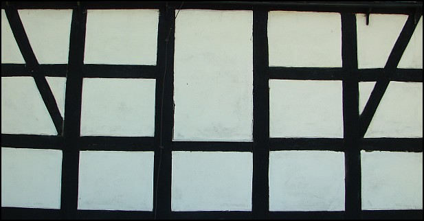 Dooko�a jeziora Jamno oraz wizyta w arboretum (42 i 35 km)