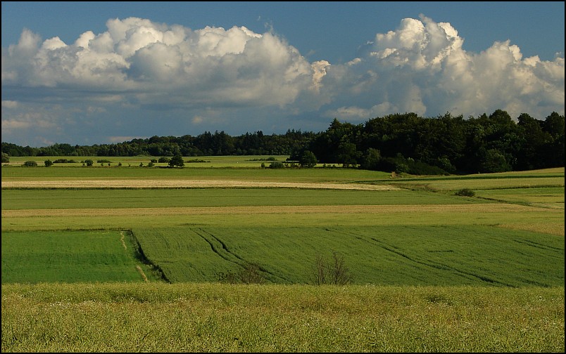 Dooko�a jeziora Jamno oraz wizyta w arboretum (42 i 35 km)