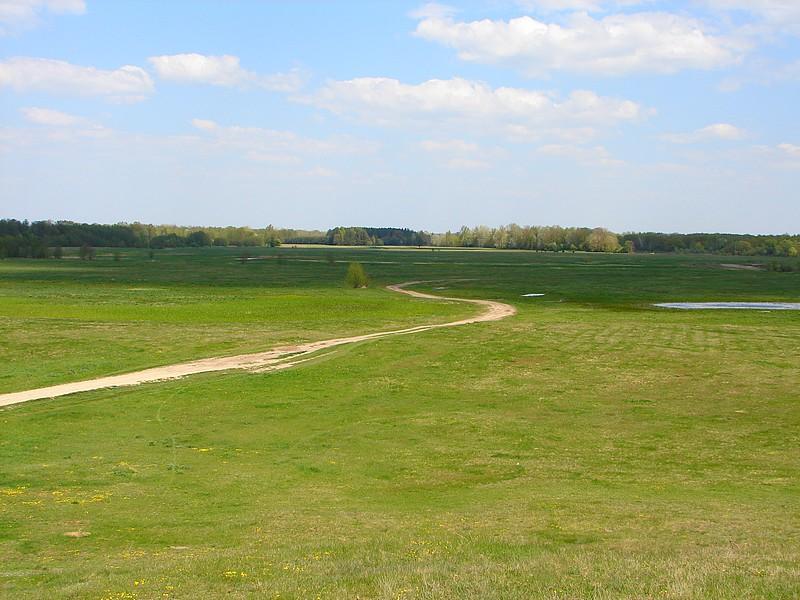 DSC03165