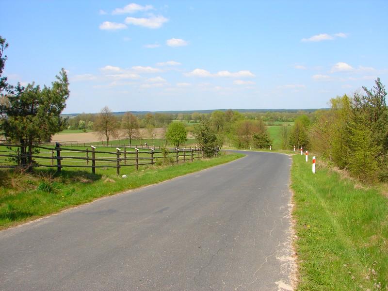 DSC03169