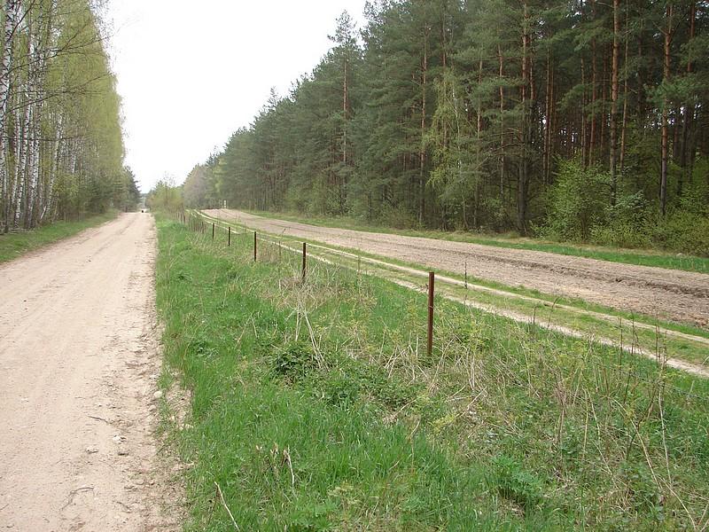 DSC03199