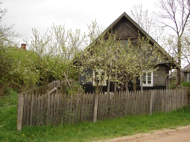 DSC03217