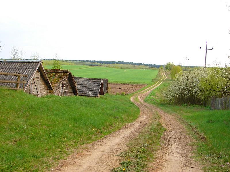 DSC03237