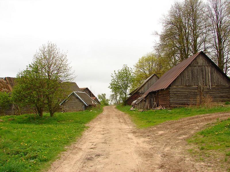 DSC03264