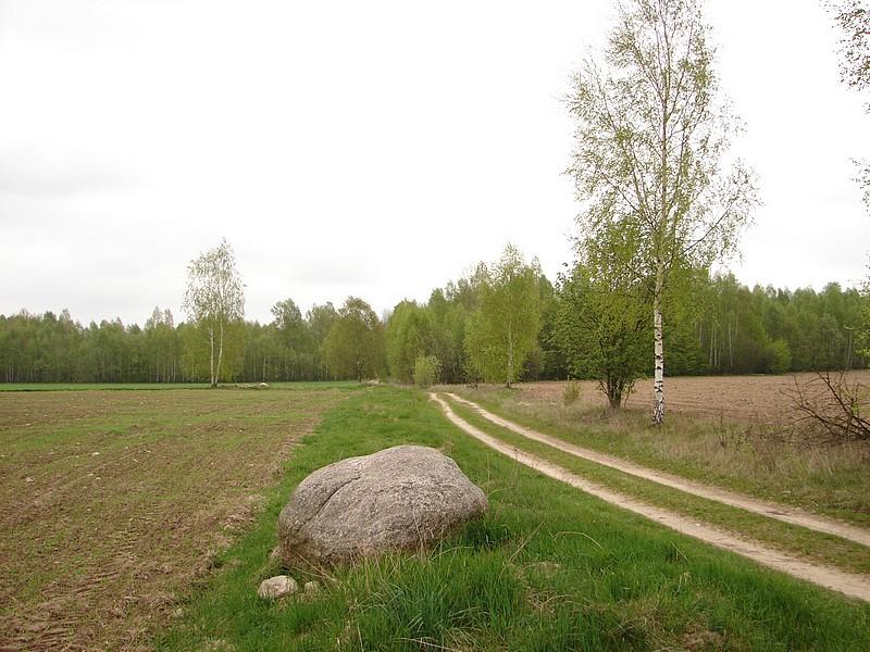DSC03272