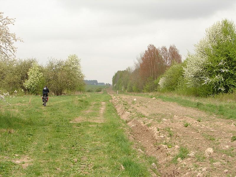 DSC03282