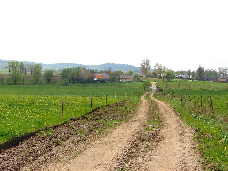 DSC03286
