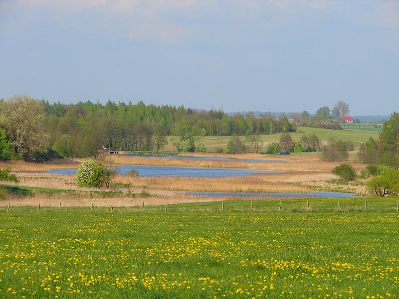 DSC03289