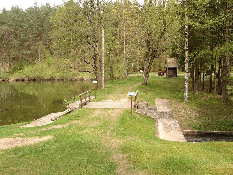 DSC03300