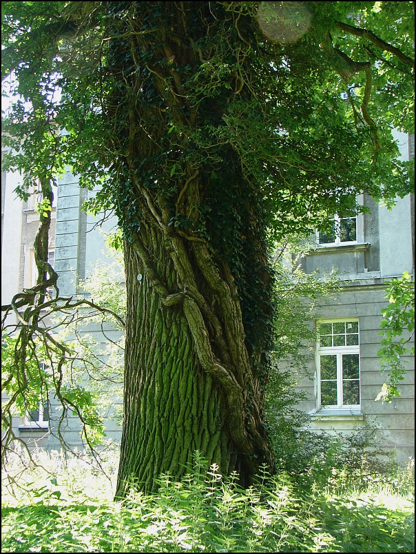 Mrozy - �och�w (92 km)