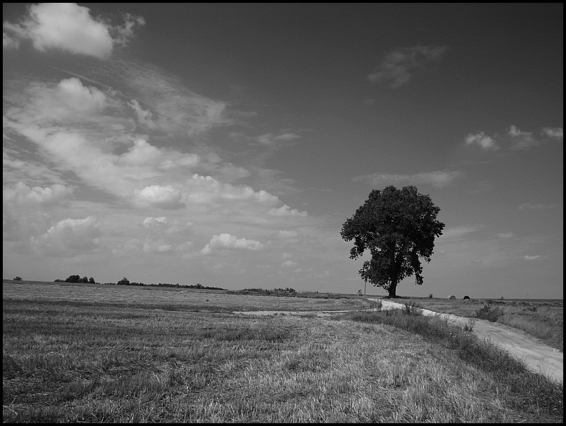 Mrozy - �och�w (92 km)